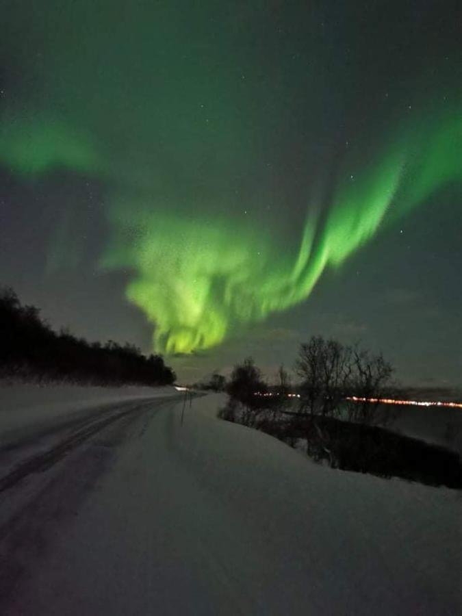 Aurora Rooms In Shared Apartment Nr2 We Are Doing Privet Northen Lights Trips, Reindeer Trip And Fjord Sommaroy Trip Tromsø Exteriör bild