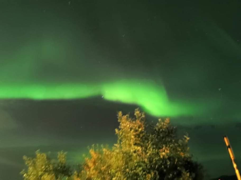 Aurora Rooms In Shared Apartment Nr2 We Are Doing Privet Northen Lights Trips, Reindeer Trip And Fjord Sommaroy Trip Tromsø Exteriör bild